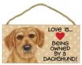 Skilt i tr: Love is Being Owned By A Dachshund.