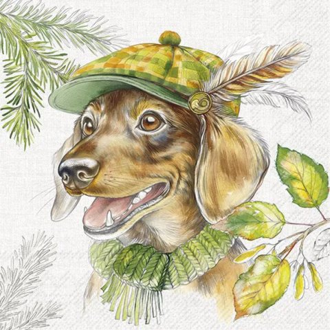 Dachshund frokostservietter