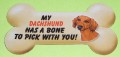 My dachshund has a bone to pick with you, magnet - rød korthår
