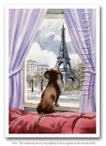 Gravhund i Paris