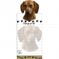 magnetisk notesblok med rd gravhund